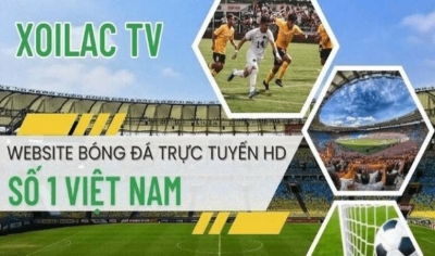 Tại sao Xoi Lac TV là lựa chọn hàng đầu để xem bóng đá trực tuyến?